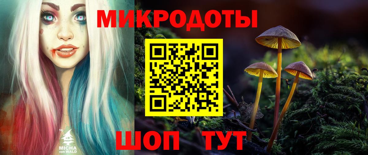 Галлюциногенные грибы Psilocybine cubensis Семилуки