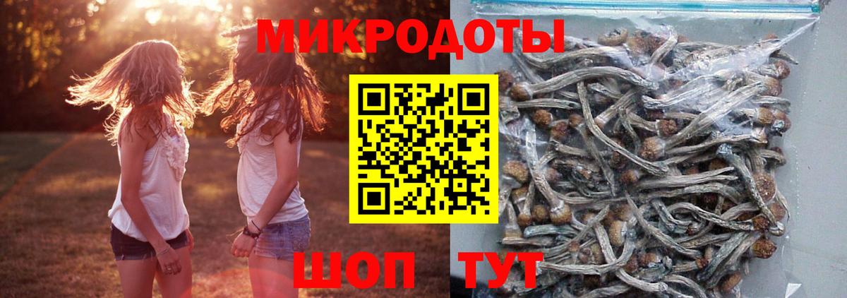 Семилуки  Псилоцибиновые грибы Cubensis  даркнет сайт  Галлюциногенные грибы GOLDEN TEACHER  Вход с VPN 